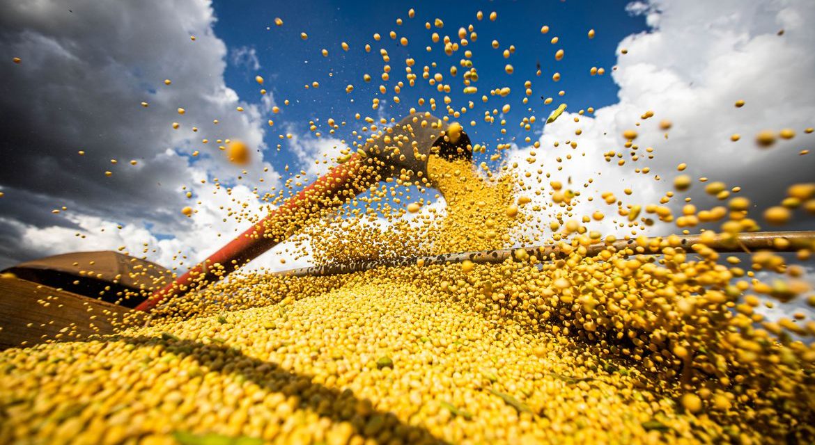 Goiás passa a ser o terceiro maior produtor de grãos do país