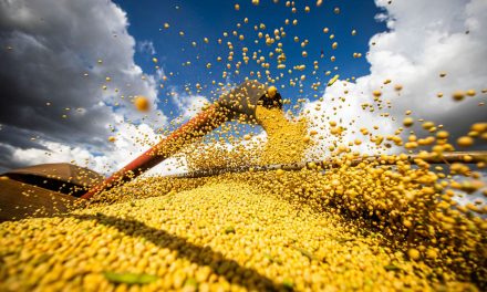 Goiás passa a ser o terceiro maior produtor de grãos do país