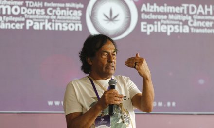 Saúde: pesquisa e uso da cannabis avançaram no Brasil nos últimos anos