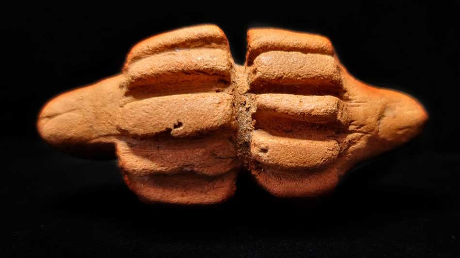 Exposição conta a história de Goiás por meio de objetos com mais de 11 mil anos