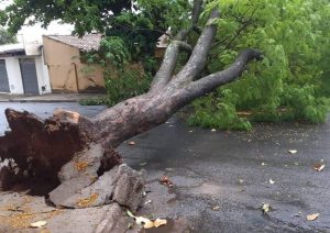 Chuva provoca acidentes, deixa bairros sem energia e semáforos sem funcionar em Goiânia