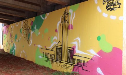 Prefeitura de Goiânia abre inscrições para artistas interessados no projeto Arte Urbana