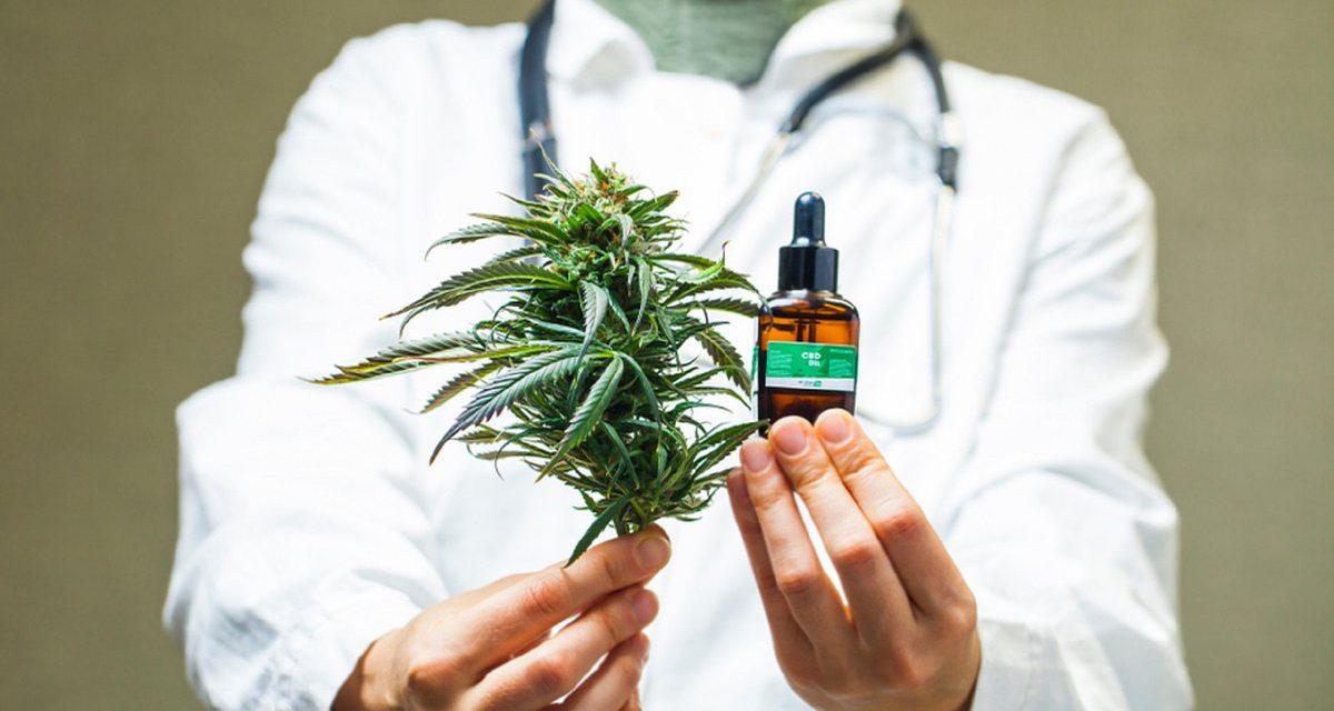 CFM suspende resolução sobre prescrição da Cannabis medicinal