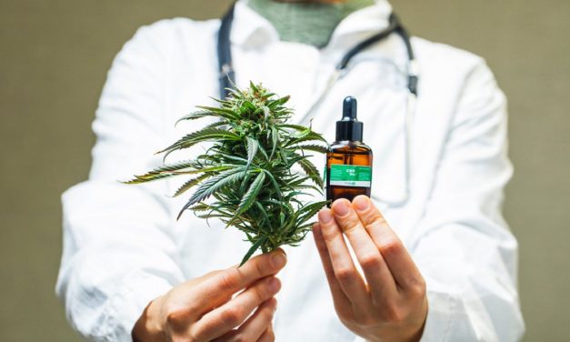 Carteirinha para pacientes que usam a cannabis medicinal é aprovada na CCJ da Câmara de Goiânia