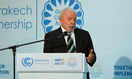 COP27: presidente eleito cita “combate sem trégua” a crimes ambientais