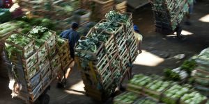 Bloqueio em estradas reduz em 17% movimento na Ceagesp