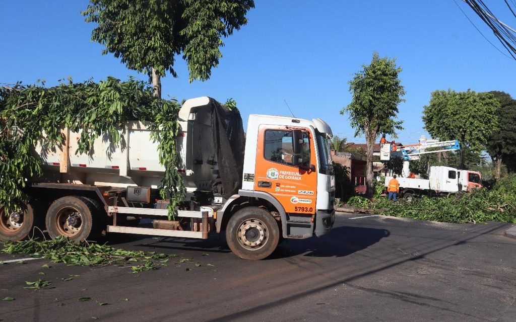 Prefeitura de Goiânia realiza poda preventiva de árvores em 44 bairros para reduzir transtornos em vias públicas