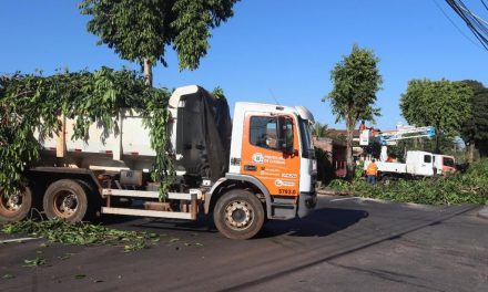 Prefeitura de Goiânia realiza poda preventiva de árvores em 44 bairros para reduzir transtornos em vias públicas