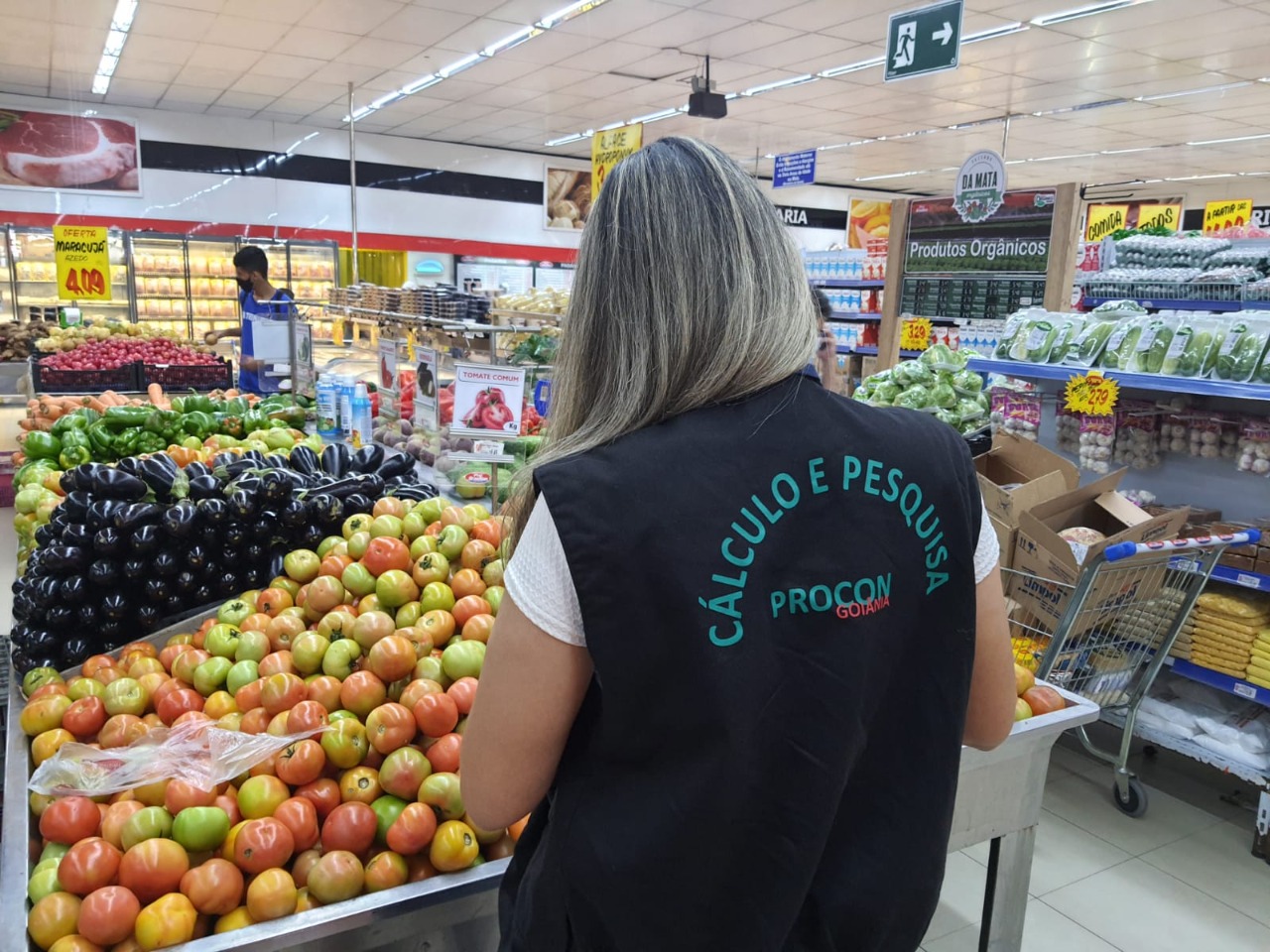 Procon Goiânia registra variação de até 376,88 % no preço do tomate