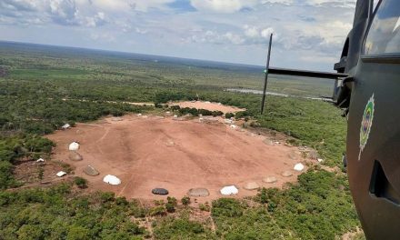 Governo revoga norma sobre exploração madeireira em terras indígenas