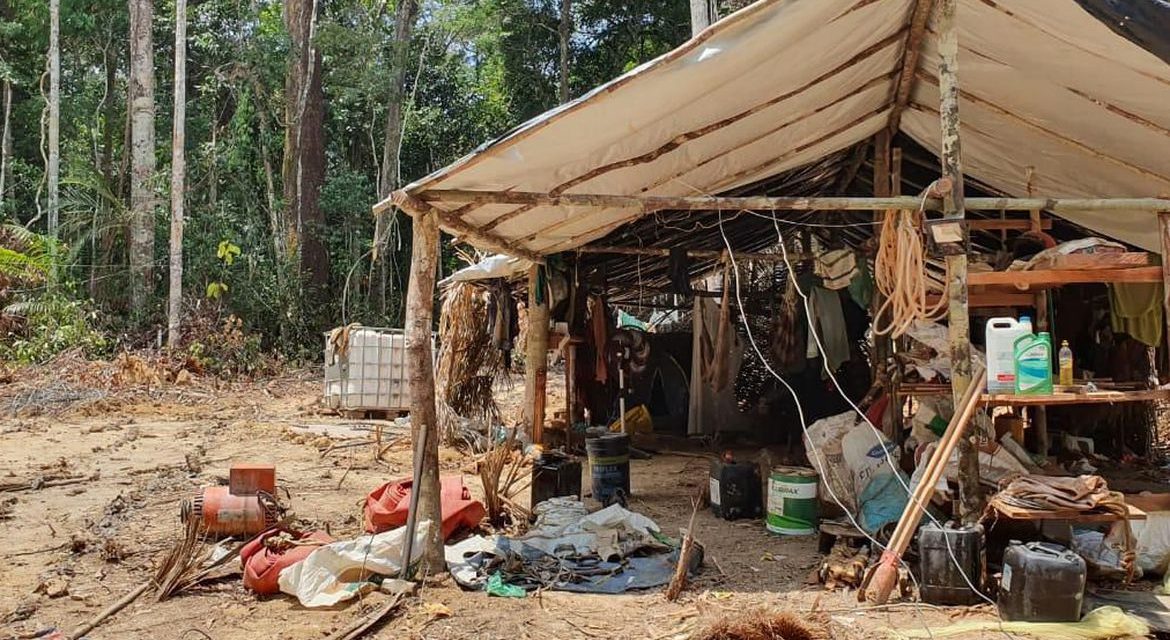 Terra Yanomami: garimpo ilegal causou alta de 309% no desmatamento