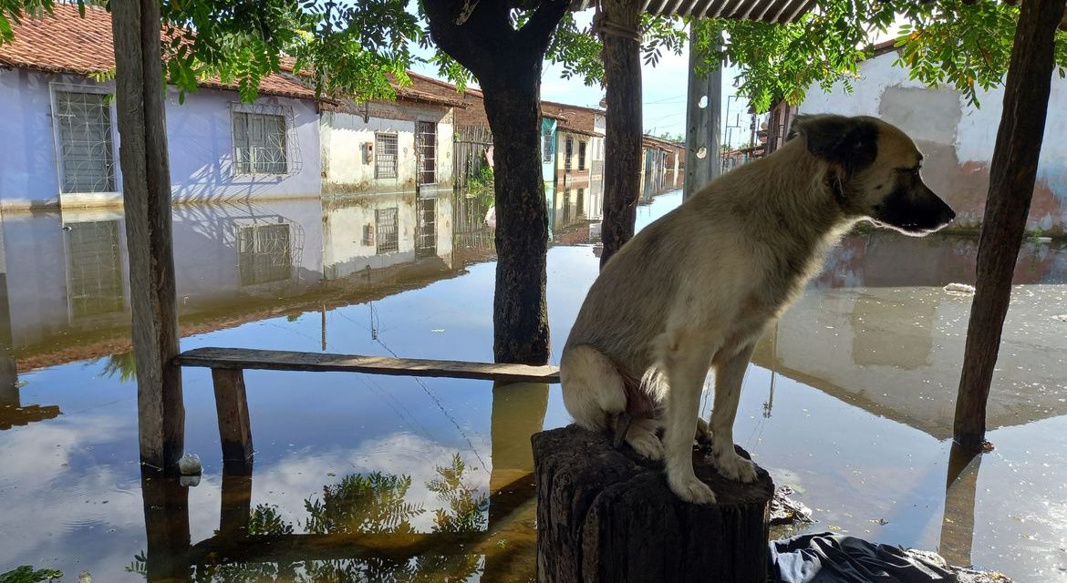 Rompimento de barragem alaga 23 casas e deixa 32 desalojados no Ceará
