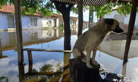 Rompimento de barragem alaga 23 casas e deixa 32 desalojados no Ceará
