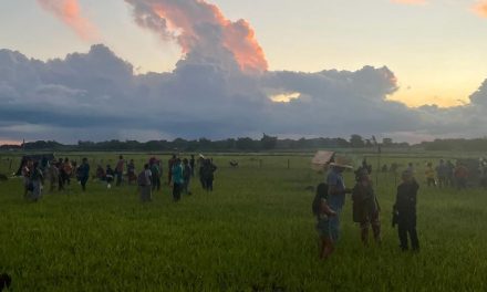 Indígenas são presos ao protestarem contra obra em Mato Grosso do Sul