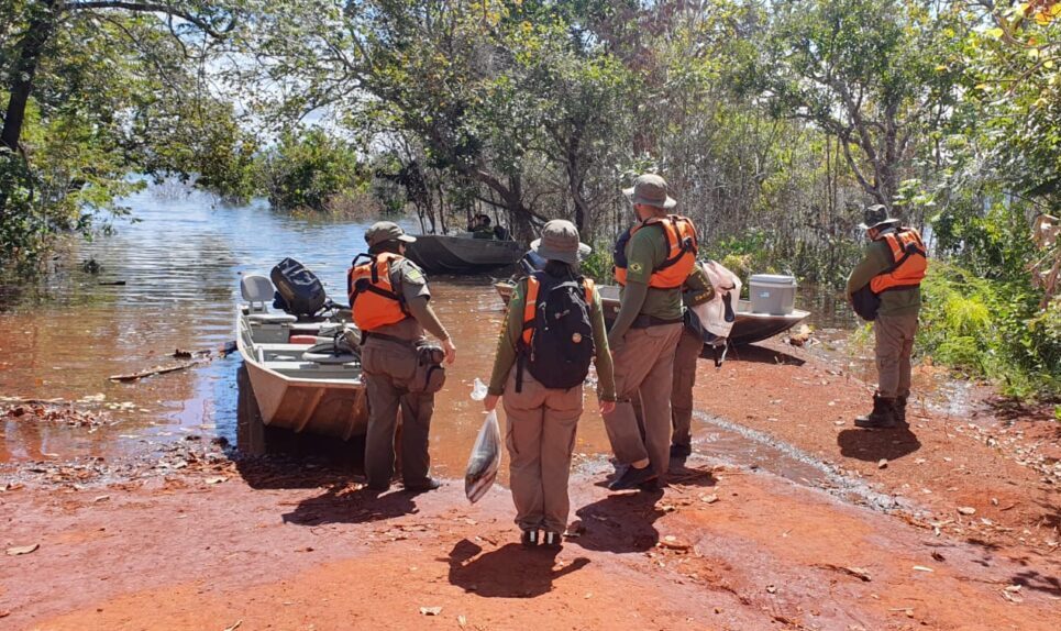 Fiscalização apreende pescado ilegal e aplica multas no lago Serra da Mesa