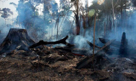 Mais de 17,3 milhões de hectares foram queimados no Brasil em 2023