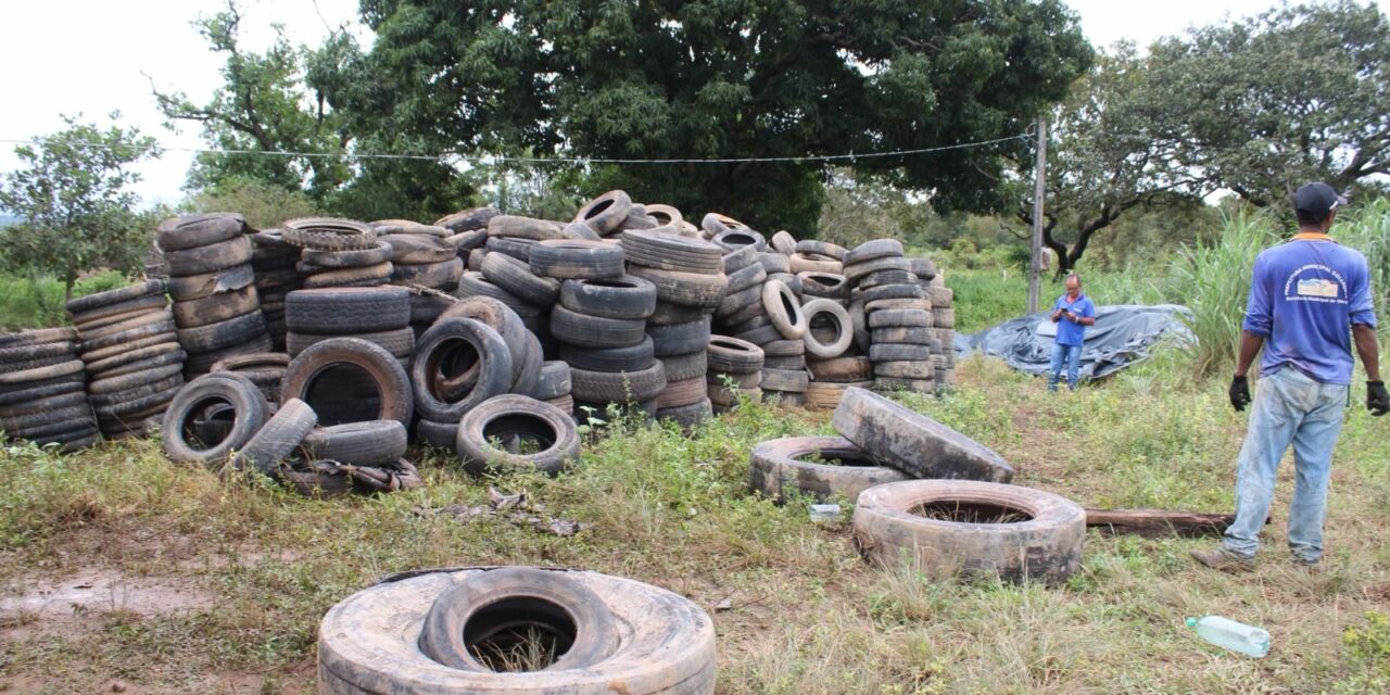 Força-tarefa da Prefeitura de Goiânia já recolheu 15 mil pneus descartados de maneira irregular em 2024