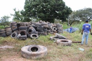 Força-tarefa da Prefeitura de Goiânia já recolheu 15 mil pneus descartados de maneira irregular em 2024