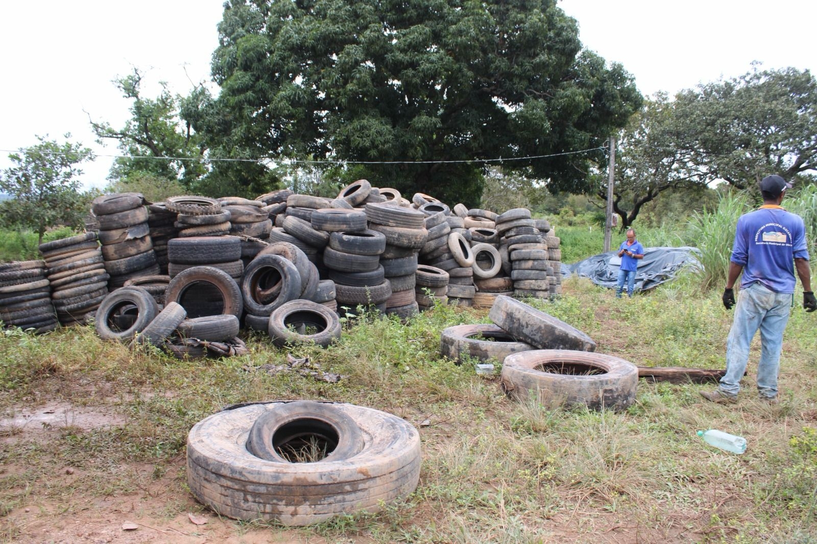 Força-tarefa da Prefeitura de Goiânia já recolheu 15 mil pneus descartados de maneira irregular em 2024