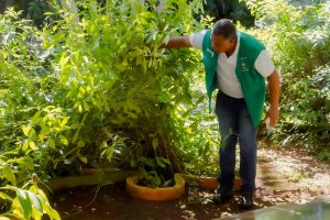 Goiás registra queda de quase 95% nas notificações de dengue entre abril e julho