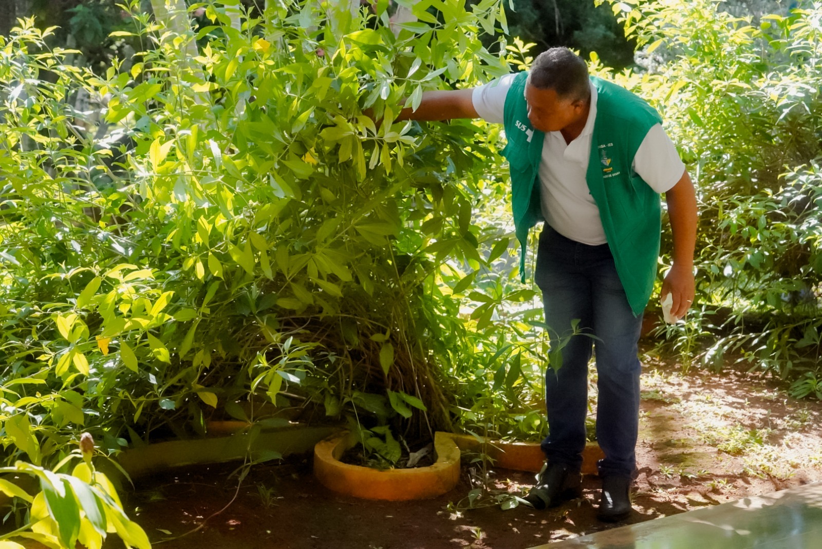 Goiás registra queda de quase 95% nas notificações de dengue entre abril e julho