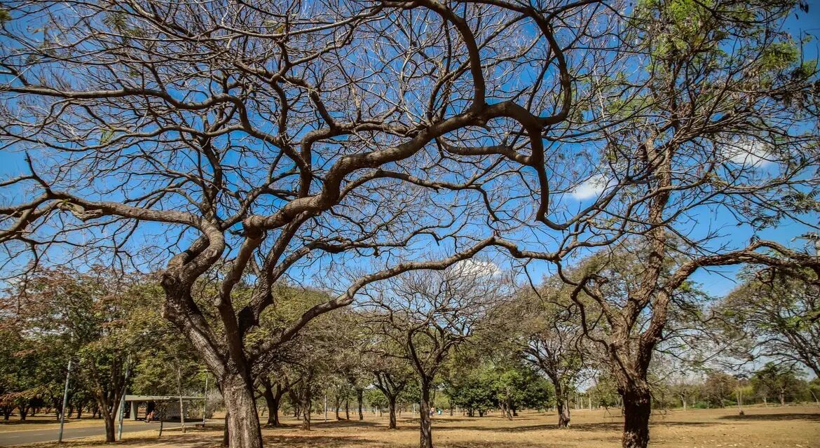 Inmet alerta sobre baixa umidade no Centro-Oeste e no Tocantins