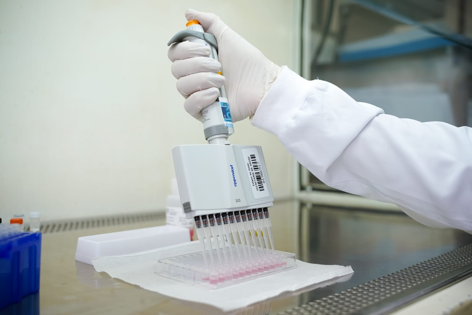 Governo de Goiás alerta para vigilância contra monkeypox