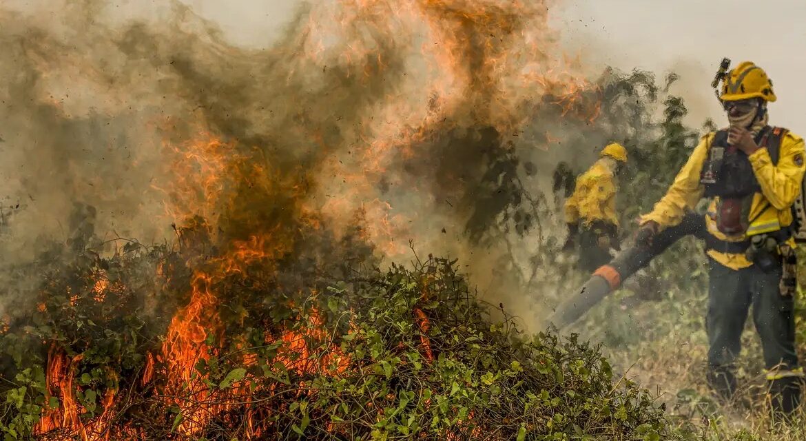 Fogo já consumiu 1,3 milhão de hectares e volta a aumentar no Pantanal