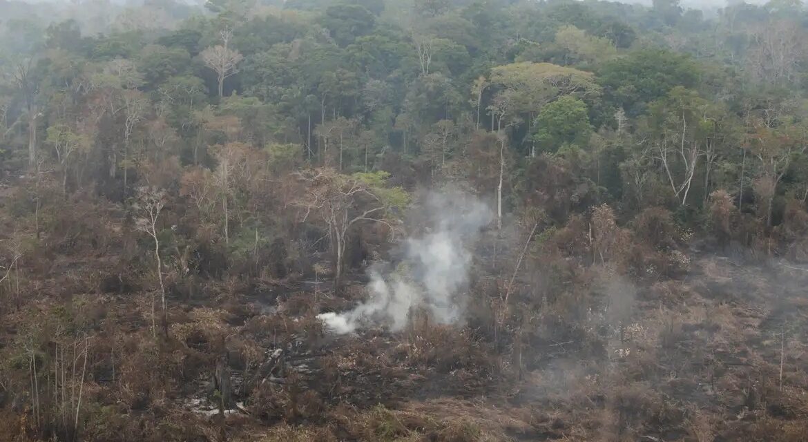 Amazônia tem 2,5 milhões de hectares queimados em agosto