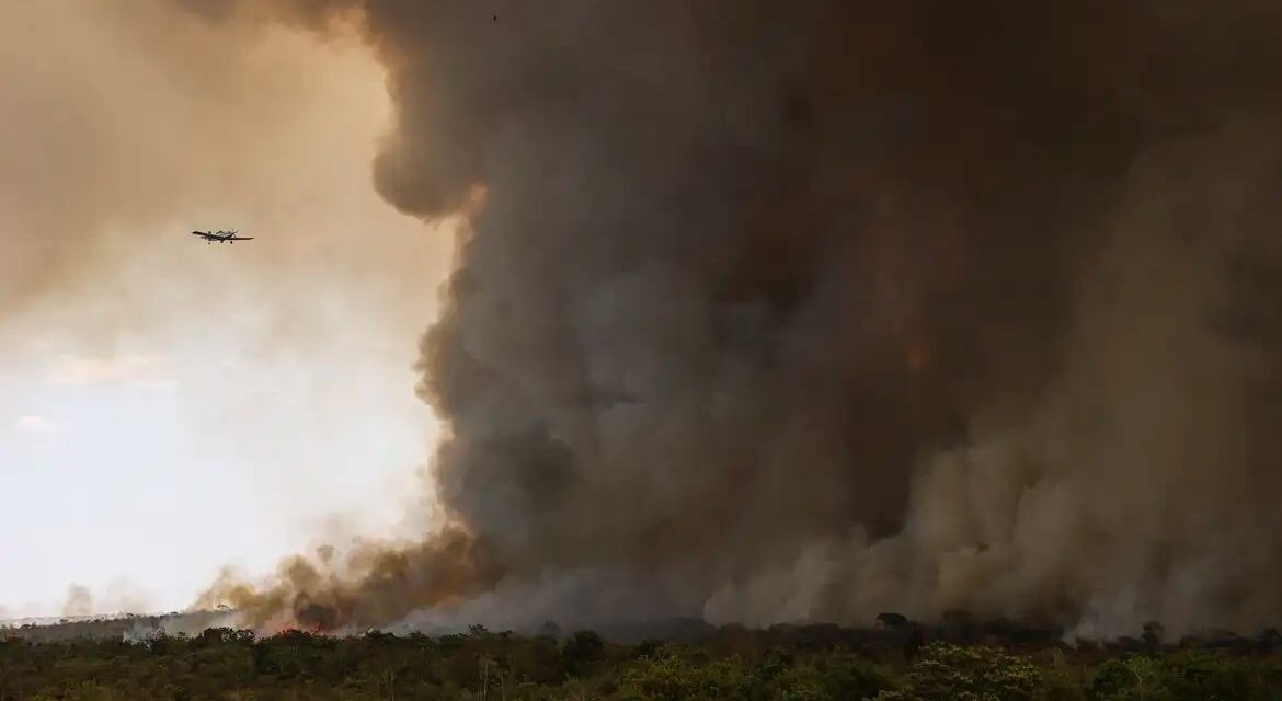 Fogo avança e queima 700 hectares do Parque Nacional de Brasília