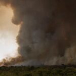 Fogo avança e queima 700 hectares do Parque Nacional de Brasília