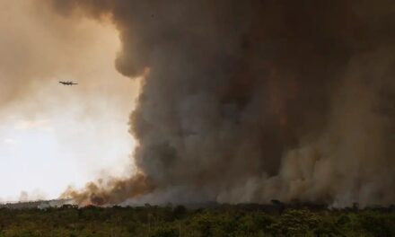 Fogo avança e queima 700 hectares do Parque Nacional de Brasília