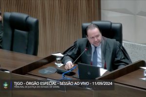 TJGO declara inconstitucionalidade de criação de pena para quem incendiar florestas