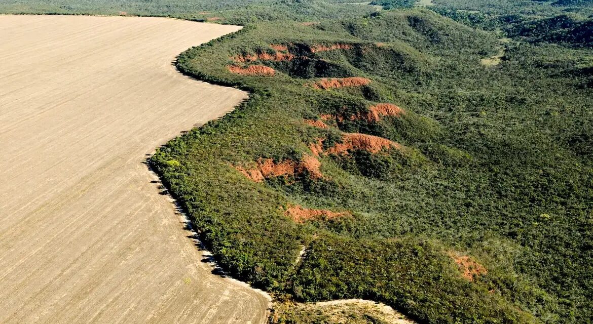 Cerrado: desmatamento emite 135 milhões de toneladas de CO2 desde 2023