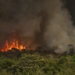 Incêndios podem ter afetado mais de 11 milhões de pessoas no Brasil