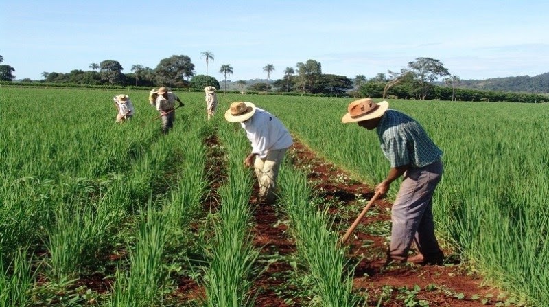 Programa do Governo de Goiás remunera produtores rurais pela preservação de áreas nativas