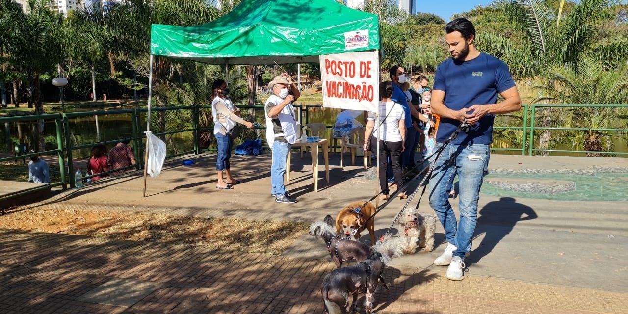 Goiânia inicia Campanha de Vacinação Antirrábica neste sábado