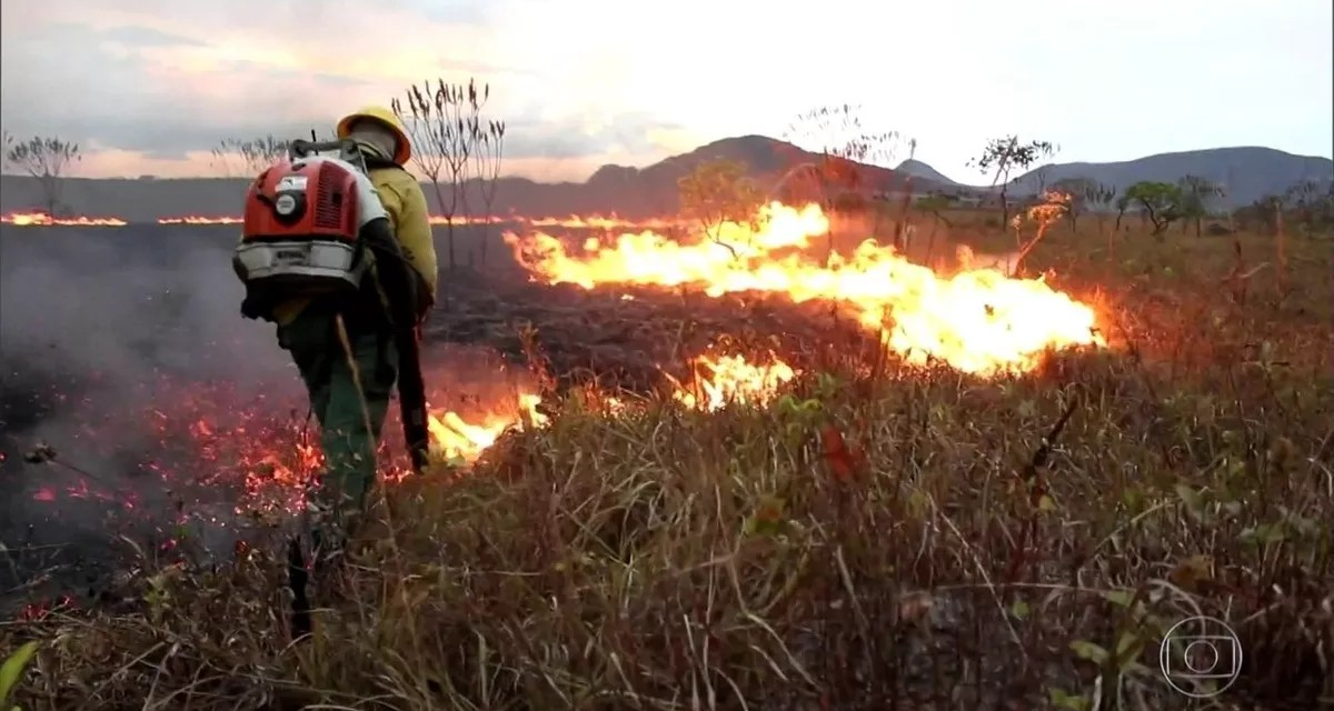 Terceiro incêndio na Chapada dos Veadeiros em duas semanas destrói área de quase 3 mil campos de futebol