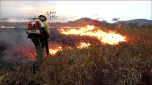 Terceiro incêndio na Chapada dos Veadeiros em duas semanas destrói área de quase 3 mil campos de futebol