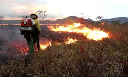 Terceiro incêndio na Chapada dos Veadeiros em duas semanas destrói área de quase 3 mil campos de futebol