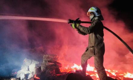 Goiás registrou mais de 400 incêndios no fim de semana