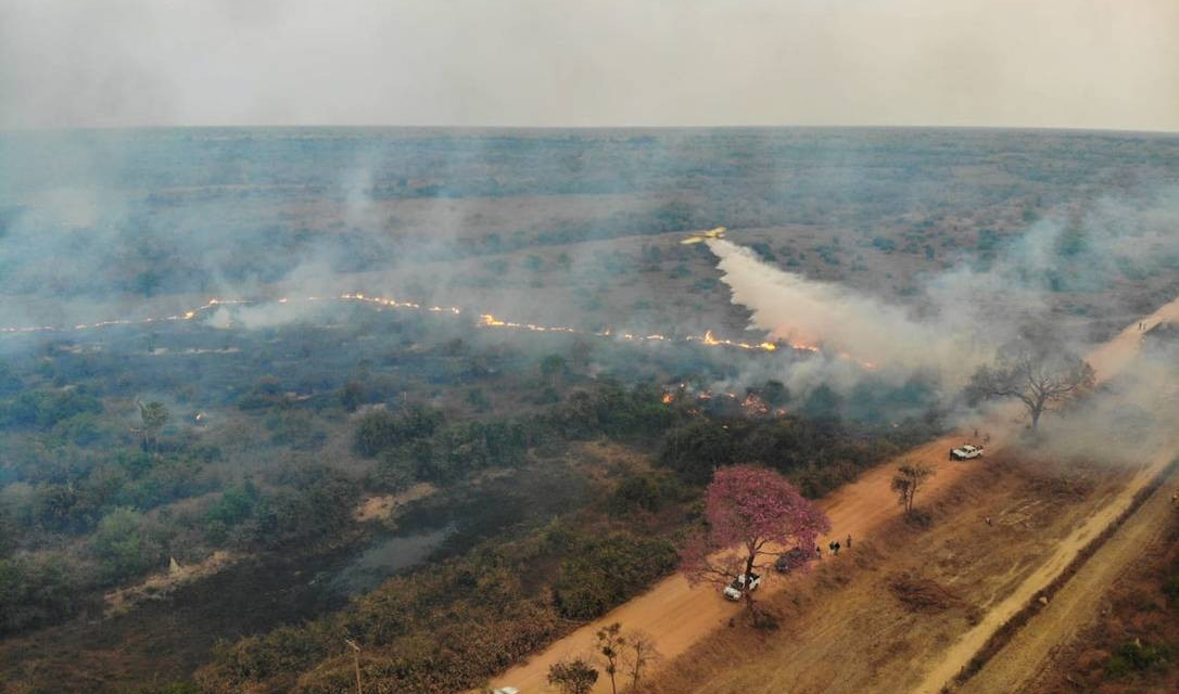 Queimadas e seca: Brasil pode perder o Pantanal até o fim do século, diz Marina Silva