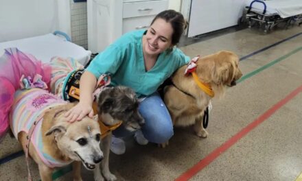 Hospital de Aparecida de Goiânia promove alegria e terapia com pets