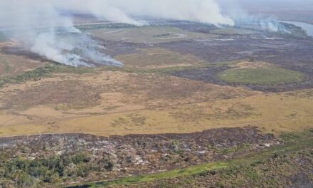 ONU: planeta pode aquecer 3,1ºC a 3,6ºC com emissões de gases