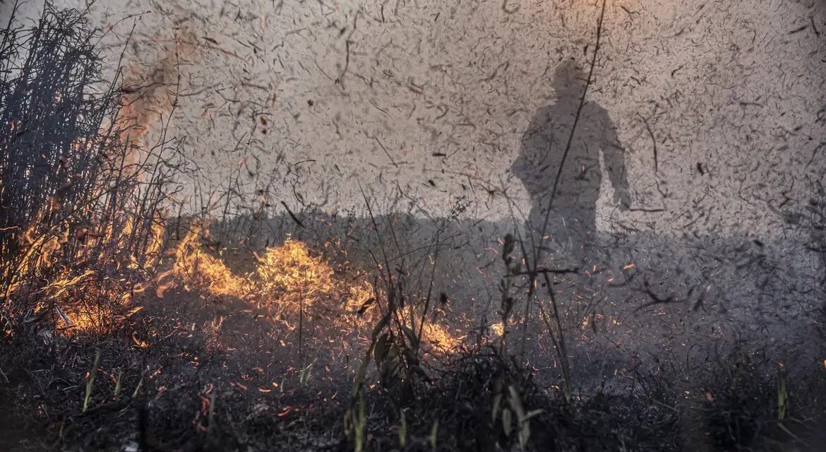 Focos de incêndios no Brasil já são 76% maiores que em 2023