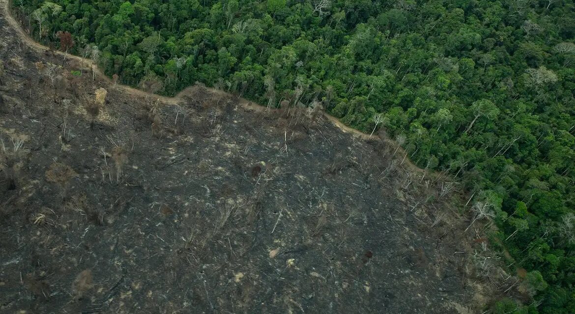 Greenpeace: imagens mostram novas áreas de garimpo em TIs na Amazônia