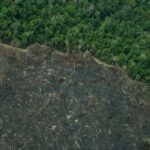 Greenpeace: imagens mostram novas áreas de garimpo em TIs na Amazônia