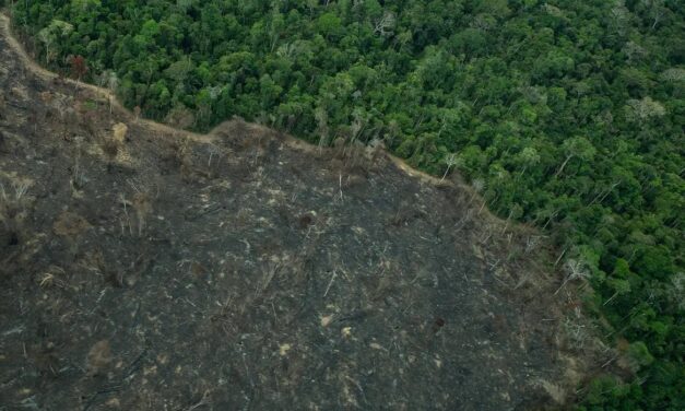 Greenpeace: imagens mostram novas áreas de garimpo em TIs na Amazônia