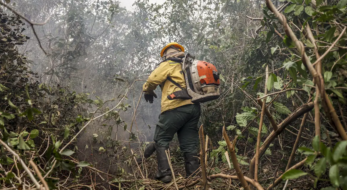 Ibama multa fazendeiros em R$ 100 milhões por incêndio no Pantanal