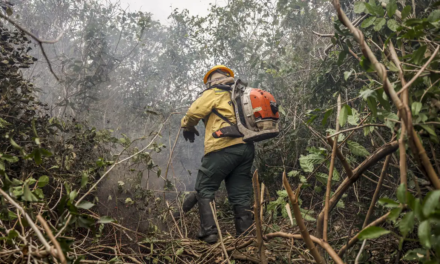 Ibama multa fazendeiros em R$ 100 milhões por incêndio no Pantanal